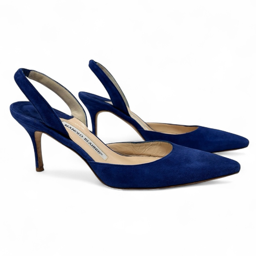 Manolo Blahnik Navy Blue Slingback Pointed-Toe Heels - Picture 3 of 16